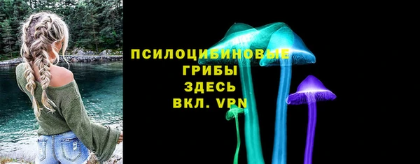прущие грибы Бугульма