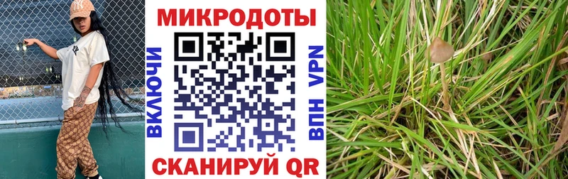 Псилоцибиновые грибы мухоморы  Гороховец 