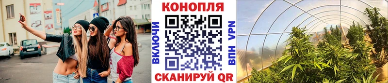 Каннабис конопля Гороховец
